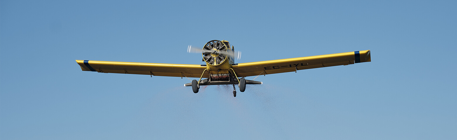 Air Tractor and Wing Walk